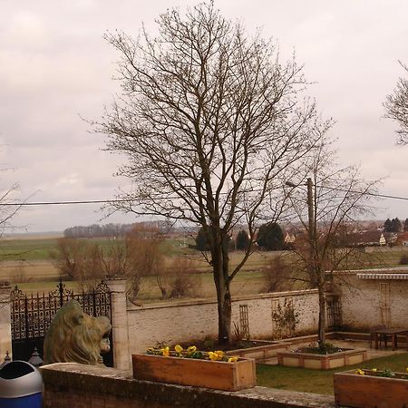 شومو-أون-فيكسا Chateau Du Jard المظهر الخارجي الصورة