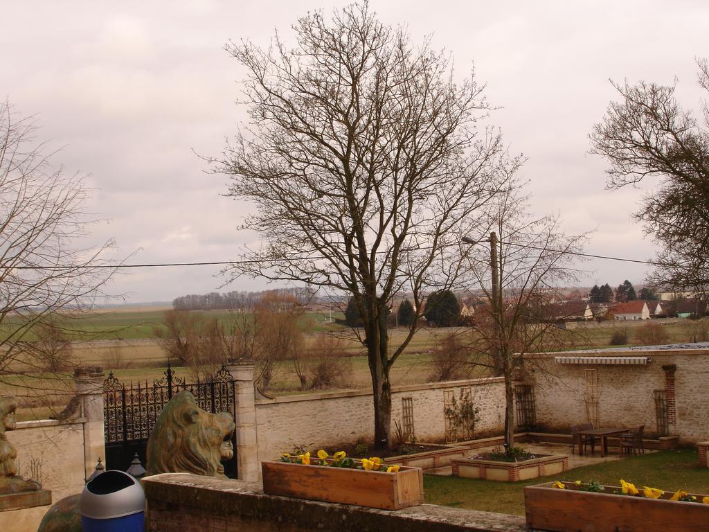 شومو-أون-فيكسا Chateau Du Jard المظهر الخارجي الصورة