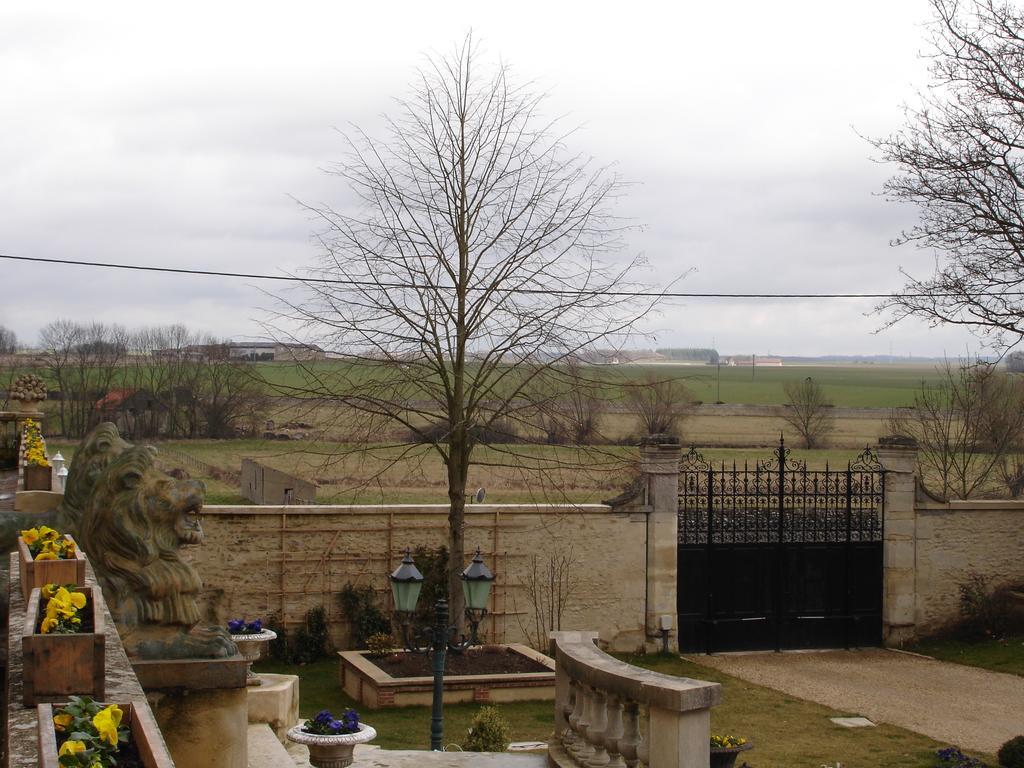 شومو-أون-فيكسا Chateau Du Jard المظهر الخارجي الصورة