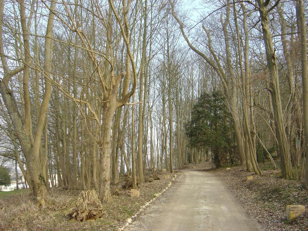 شومو-أون-فيكسا Chateau Du Jard المظهر الخارجي الصورة